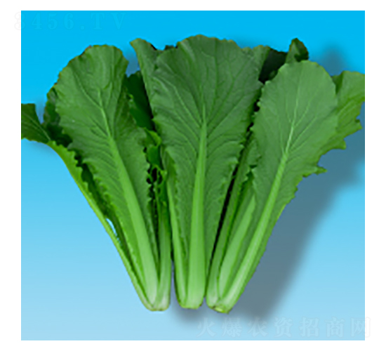 ˷N-Сײ319-A孷NI(y)