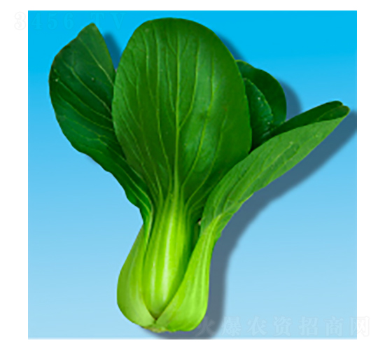 ๣˷N-353-A孷NI(y)