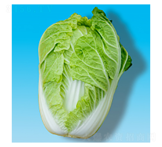 ײ˷N-S003-A孷NI(y)