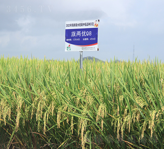 Ƀ(yu)Q8-ˮN-𽡷NI(y)