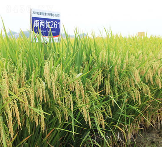 Ƀ(yu)261-ˮN-𽡷NI(y)