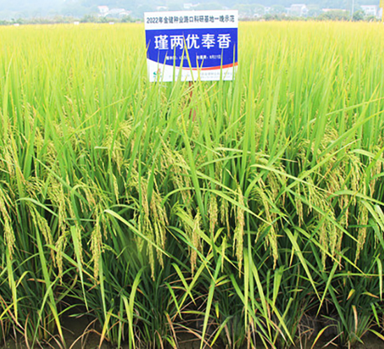 誃Ƀ(yu)-ˮN-𽡷NI(y)