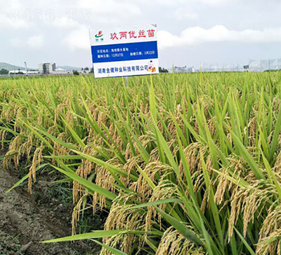 Ƀ(yu)z-ˮN-𽡷NI(y)