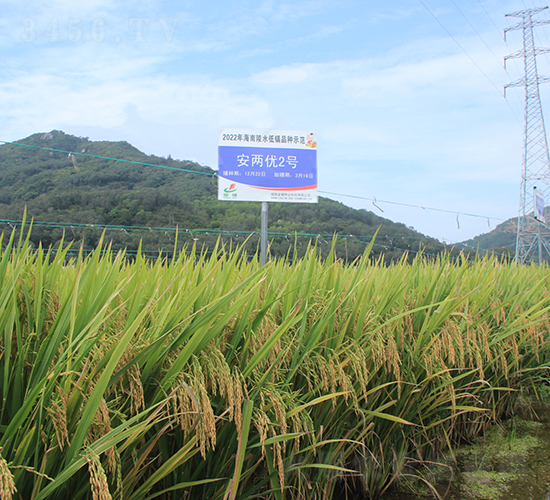 Ƀ(yu)2̖(ho)-ˮN-𽡷NI(y)