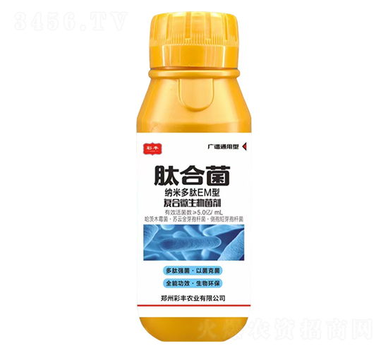 ͺ΢-ĺϾ-Sr(nng)I(y)