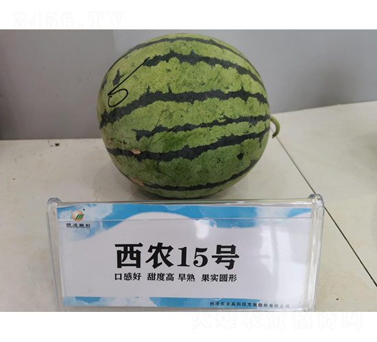 r(nng)15̖-ϷN-SNI(y)