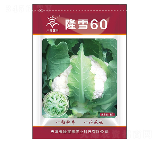 ¡ѩ60-¡-¡r(nng)I(y)