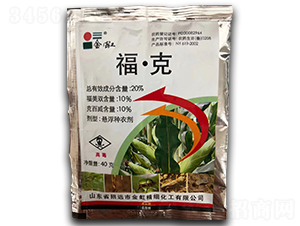 20%ˑҸN40g--r(nng)̩