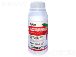 2.5%Чȷ΢鄩-惞(yu)-rrI(y)