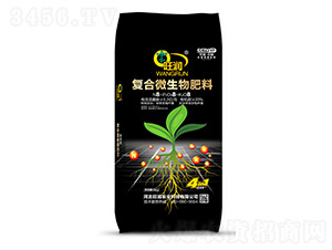 ͺ΢8-8-8-r(nng)I(y)