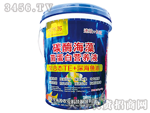 ̼øנI(yng)B(yng)Һ-Z