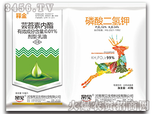 |̦؃(ni)+-ጽ-Ҋ(jin)