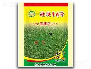 14̖(ho)-Ͳ˷N-r(nng)