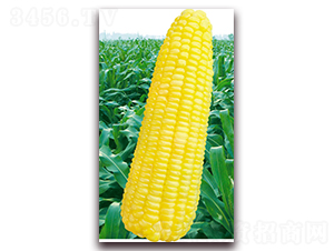 fŴ2018-Ŵ׷N-ANI(y)