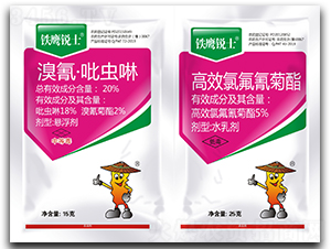 20%衤xҸ+Чȷ-FJʿ-r