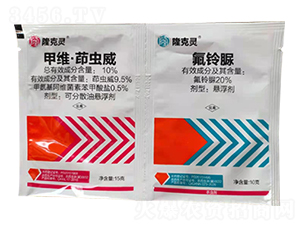 10%׾Sx+20%-¡`-Z_(d)