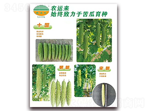 ʮ(gu)++γ-ϷN-r(nng)\(yn)