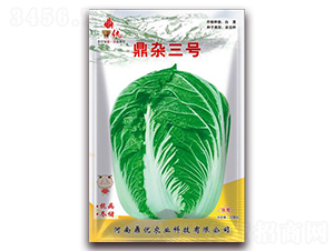 s̖(ho)-~˷N-(yu)r(nng)I(y)