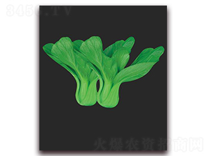 26-~˷N-(yu)r(nng)I(y)