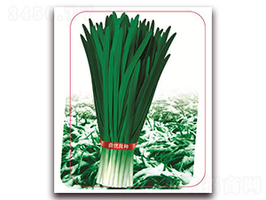 փ(yu)ѩһ̖-~˷N-(yu)r(nng)I(y)