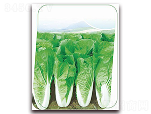 փ(yu)v-~˷N-(yu)r(nng)I(y)