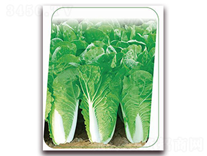 v6̖-~˷N-(yu)r(nng)I(y)