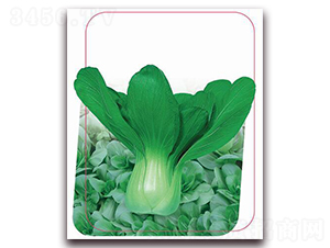 ھG-~˷N-(yu)r(nng)I(y)