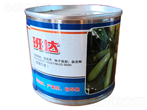 班達(dá)-西葫蘆種子-金馬開(kāi)元