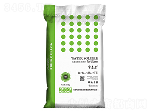 Ԫˮܷ8-6-36+TE-̩-ʘI(y)