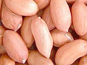 1̖(ho)-N-Sr(nng)I(y)