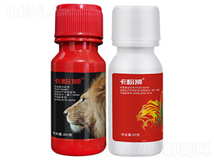 ߲˰׷ʭ(zhun)ˎ σ(yu)ʿ