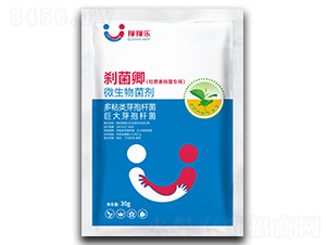 Sή(zhun)΢-x-ڼژ(l)