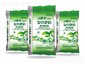 ۹Ȱ(f)Ϸ16-10-16-G۞-