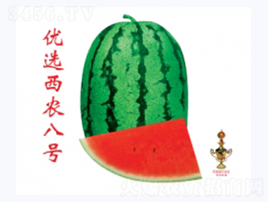 (yu)xr̖-ϷN-ؼtNI(y)