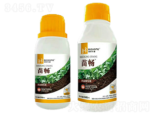 ڌ(zhun)-畳-r(nng)I(y)