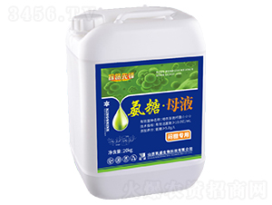 ǡĸҺ΢ʣ(zhun)ã-̽·h-Pʢ