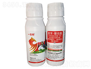 10%xҸ200g-һ֧e-G