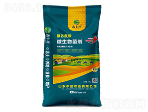 ۹Ȱ΢-S-{r(nng)I(y)