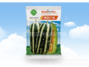 (yng)9̖(ho)-Ƙ(l)NI(y)