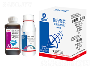 xQ-Mb-tf-l(xing)弾L-˹r