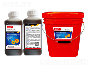 2.2%װSر}--l(xing)弾L-˹r