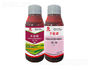 40%-tf-l(xing)弾L-˹r