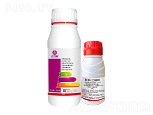 ​(lin)¡b-tf-l(xing)弾L-˹r