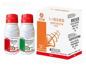 1+1ERMb-tf-l(xing)弾L-˹r