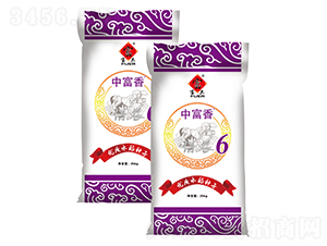 и㱣r(nng)6-ˮN-r(nng)ˇ