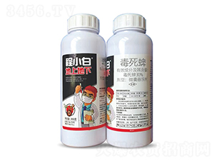 30%΢ґҸ-Сסϵ-rrI(y)