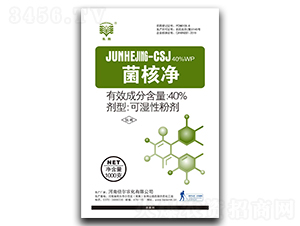 40%˃ɝԷۄ-L-r(nng)