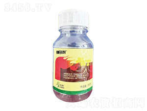 900/ҲݰEC-砶-һ[Ƽ