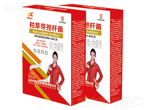 ݲѿߗU-ƹʯ-еr(nng)