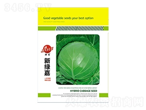 {(ln)N-¾G-Sr(nng)I(y)